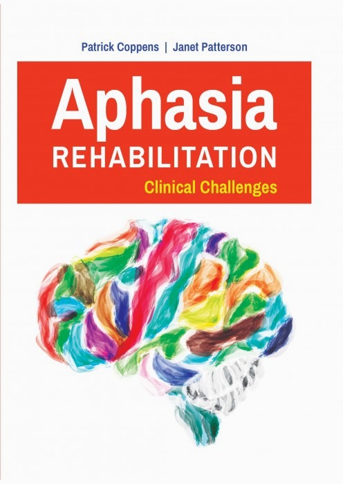Aphasia Rehabilitation: Clinical Challenges